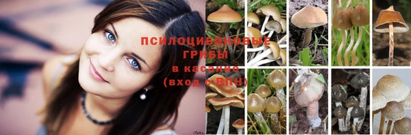 спайс Наволоки