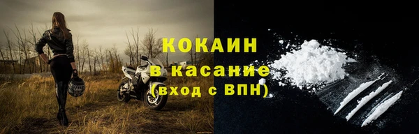 прущие грибы Михайловка