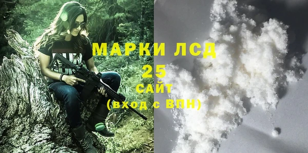 прущие грибы Михайловка