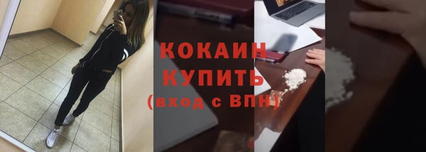 прущие грибы Михайловка