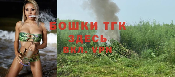 прущие грибы Михайловка