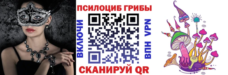 Псилоцибиновые грибы прущие грибы  даркнет сайт  Пошехонье 